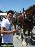 2007 Red Bull U.S. Grand Prix - Coors or Bud?: Always funny to see a Coors drinker spoofing Budweiser, just don't get too close to that Clydesdale.